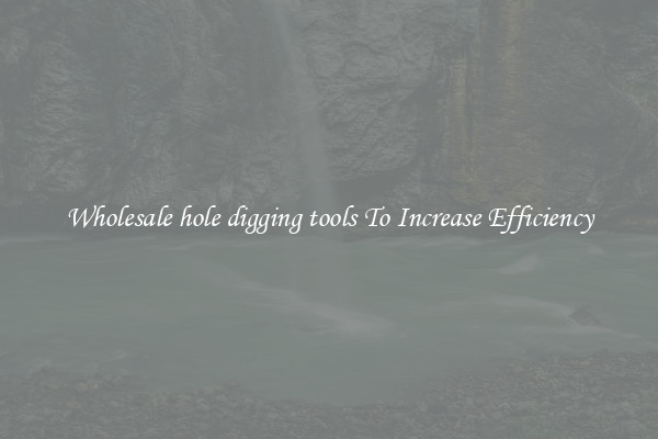 Wholesale hole digging tools To Increase Efficiency